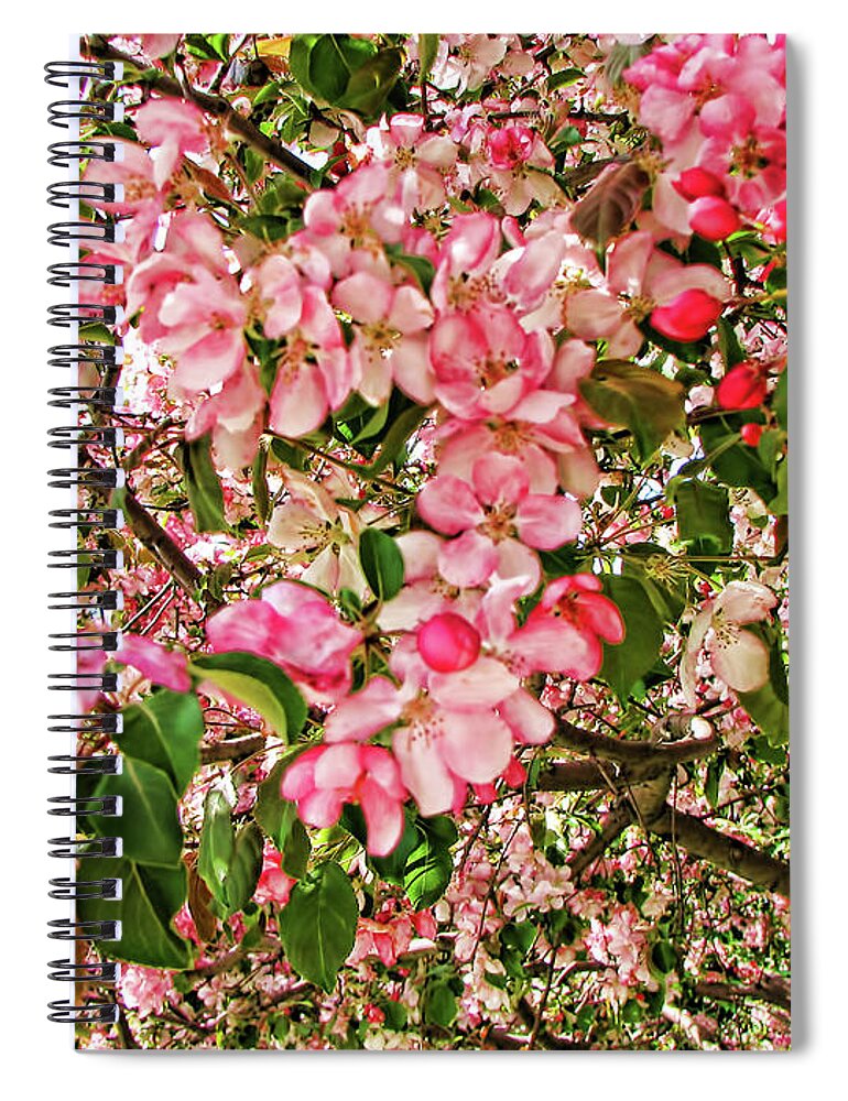 Pink Spiral Notebook featuring the photograph Blossoms by Traci Cottingham
