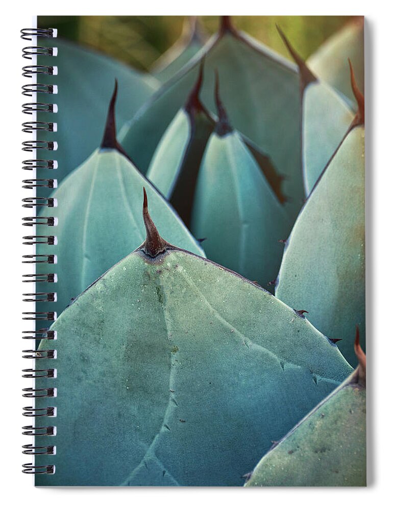 Agave Spiral Notebook featuring the photograph Blue Agave by Saija Lehtonen