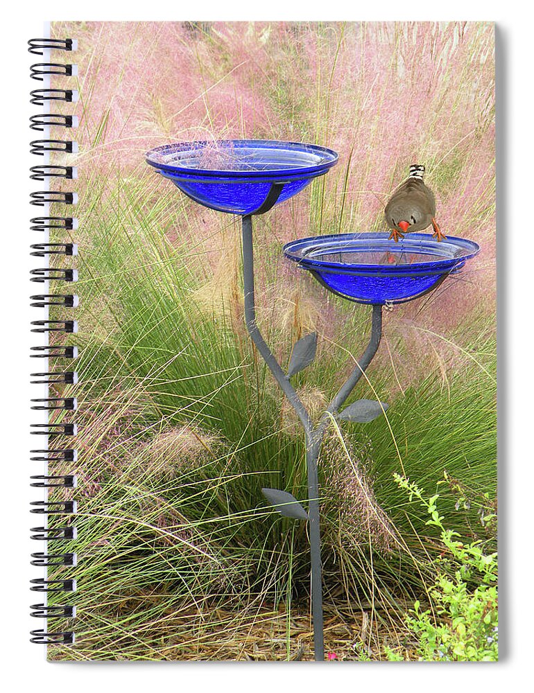 Baths Spiral Notebook featuring the photograph Blue Bird Bath by Rosalie Scanlon