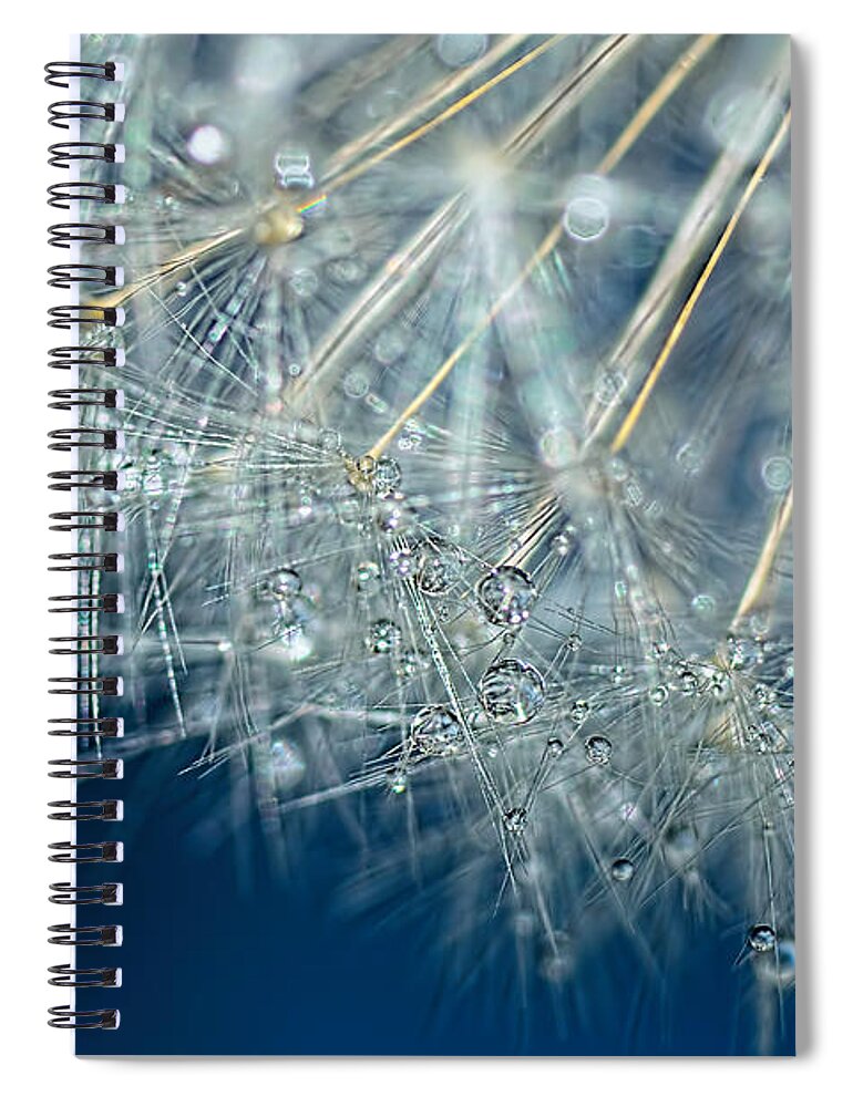 Blue Dandelion Dew Spiral Notebook featuring the photograph Blue Dandelion Dew by Kaye Menner by Kaye Menner