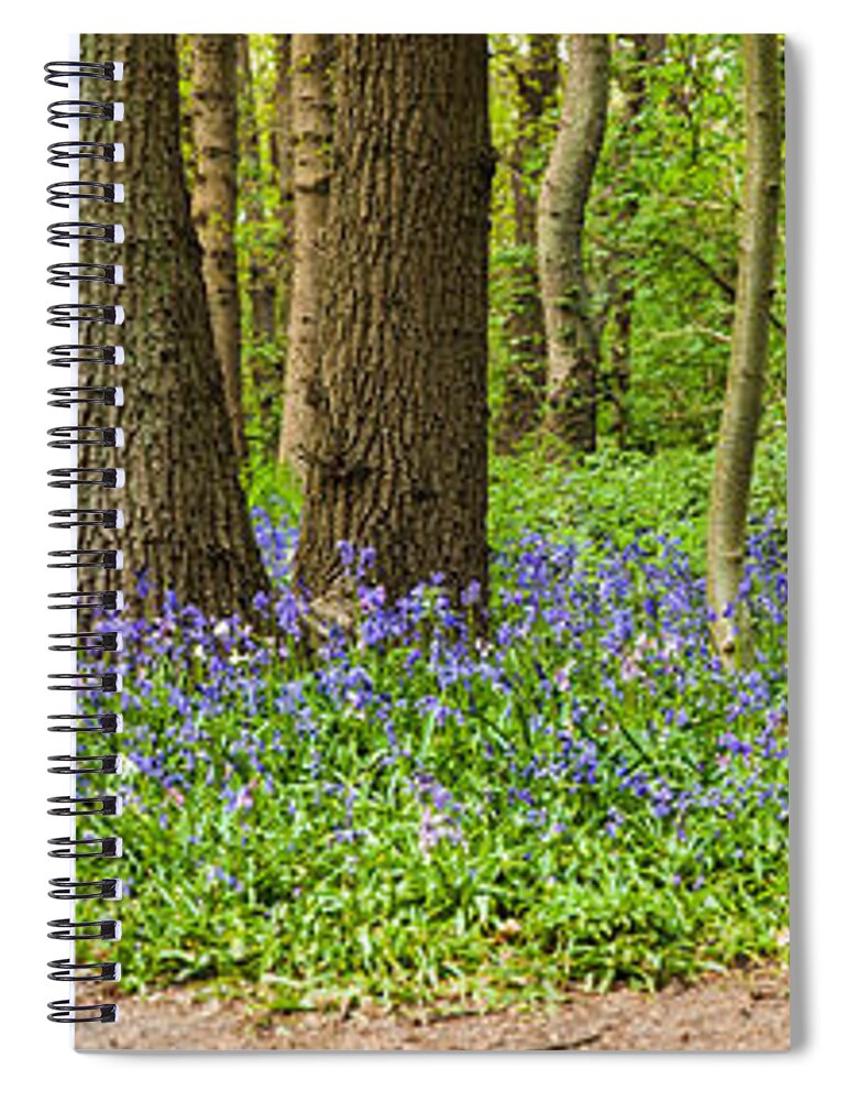 Den Haag Spiral Notebook featuring the photograph Blue Forest-1 by Casper Cammeraat