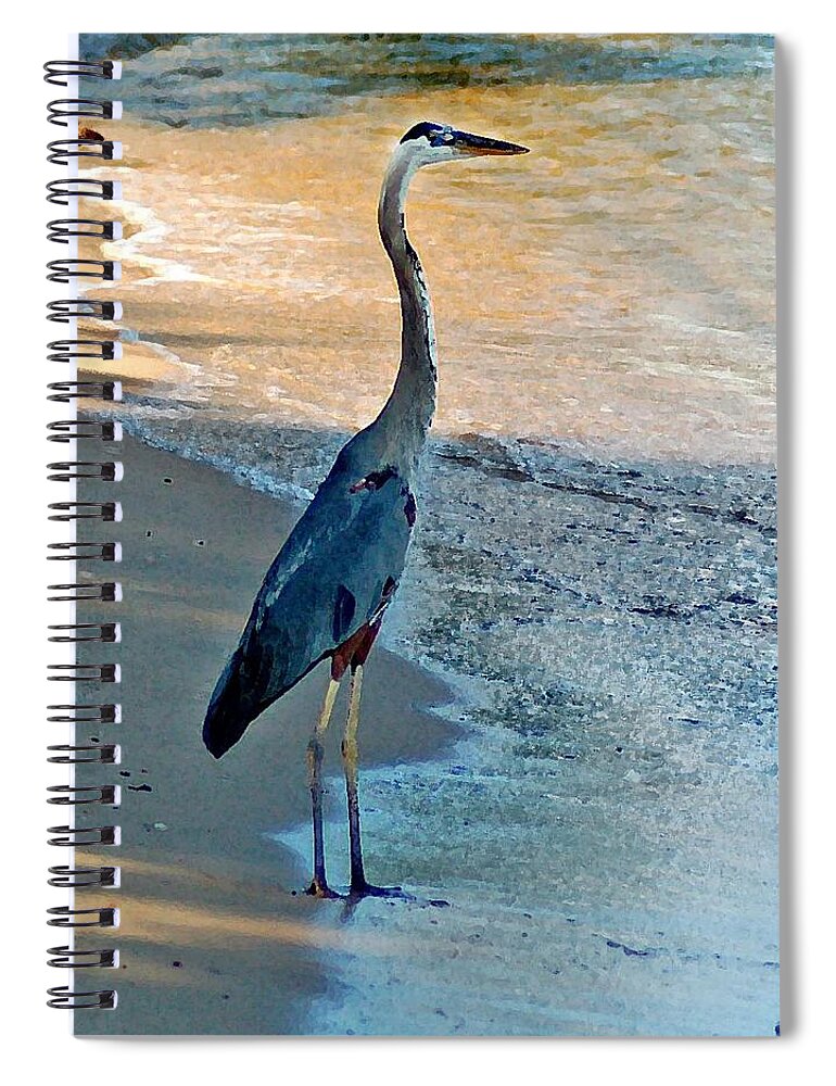  Spiral Notebook featuring the painting Blue Heron on the Beach Close up by Michael Thomas