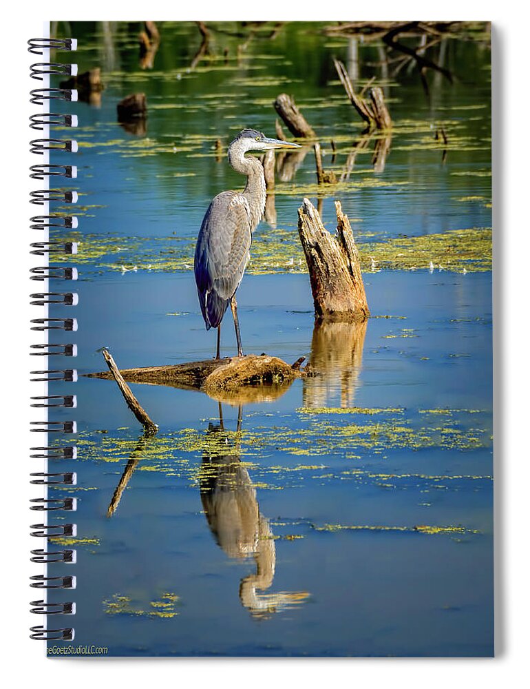 Wildlife Spiral Notebook featuring the photograph Blue Heron Reflections by LeeAnn McLaneGoetz McLaneGoetzStudioLLCcom