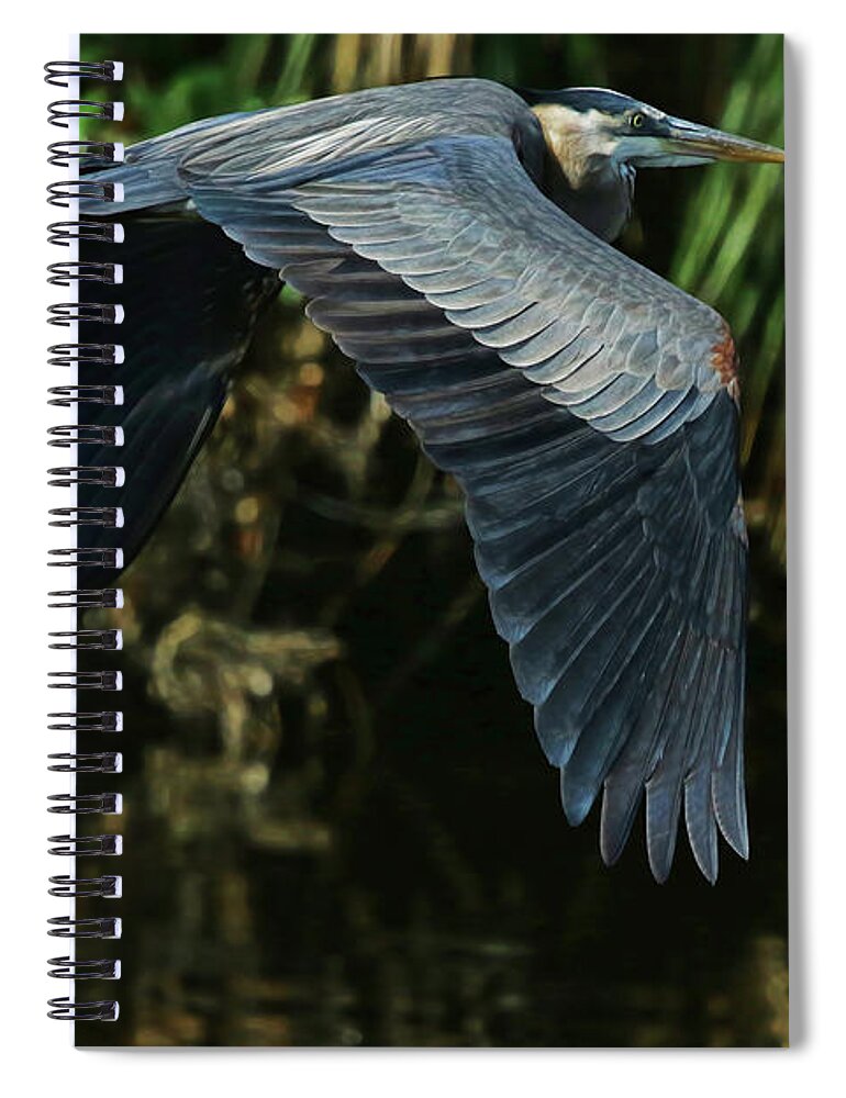 Heron Spiral Notebook featuring the photograph Blue Heron Series The Pond by Deborah Benoit