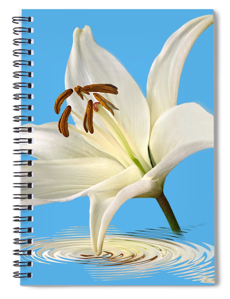 Single White Lily Spiral Notebook featuring the photograph Blue Horizons - White Lily by Gill Billington