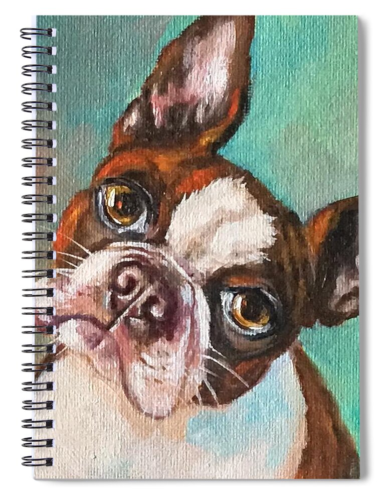 I See You Eating! White And Brown Boston Terrier 6 X 6 Oil Painting On Canvas Bonded On1.5 Depth Cradle Panel. Ready To Hang Spiral Notebook featuring the painting I see you eating  white and brown boston terrier by Susan Goh