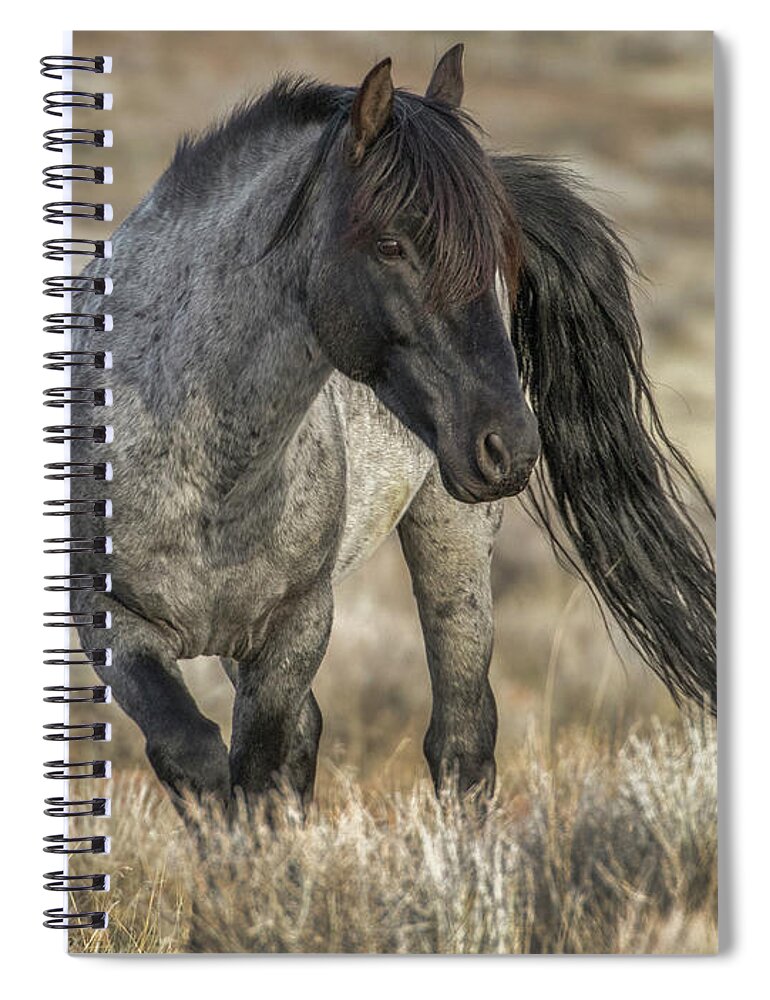 Mustang Spiral Notebook featuring the photograph Blue by John T Humphrey