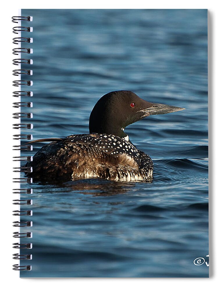 Boundary Waters Canoe Area Spiral Notebook featuring the photograph Blue Loon by Joan Wallner