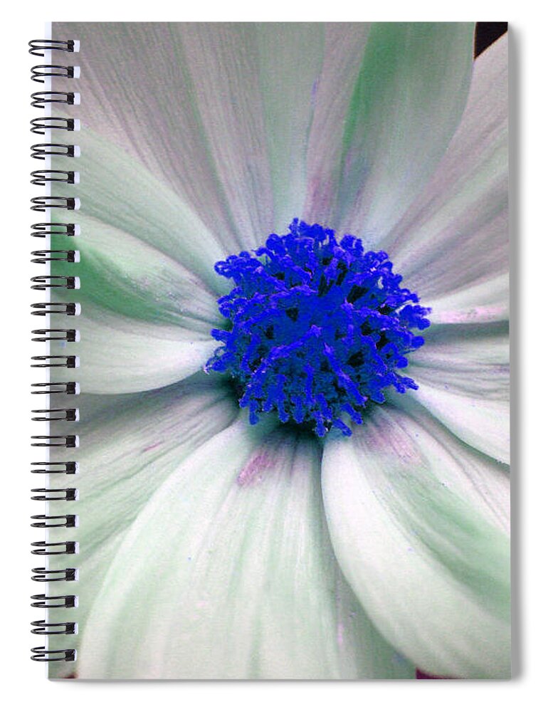 Blue Flowers. Blue Spiral Notebook featuring the photograph Blue by Mary Halpin