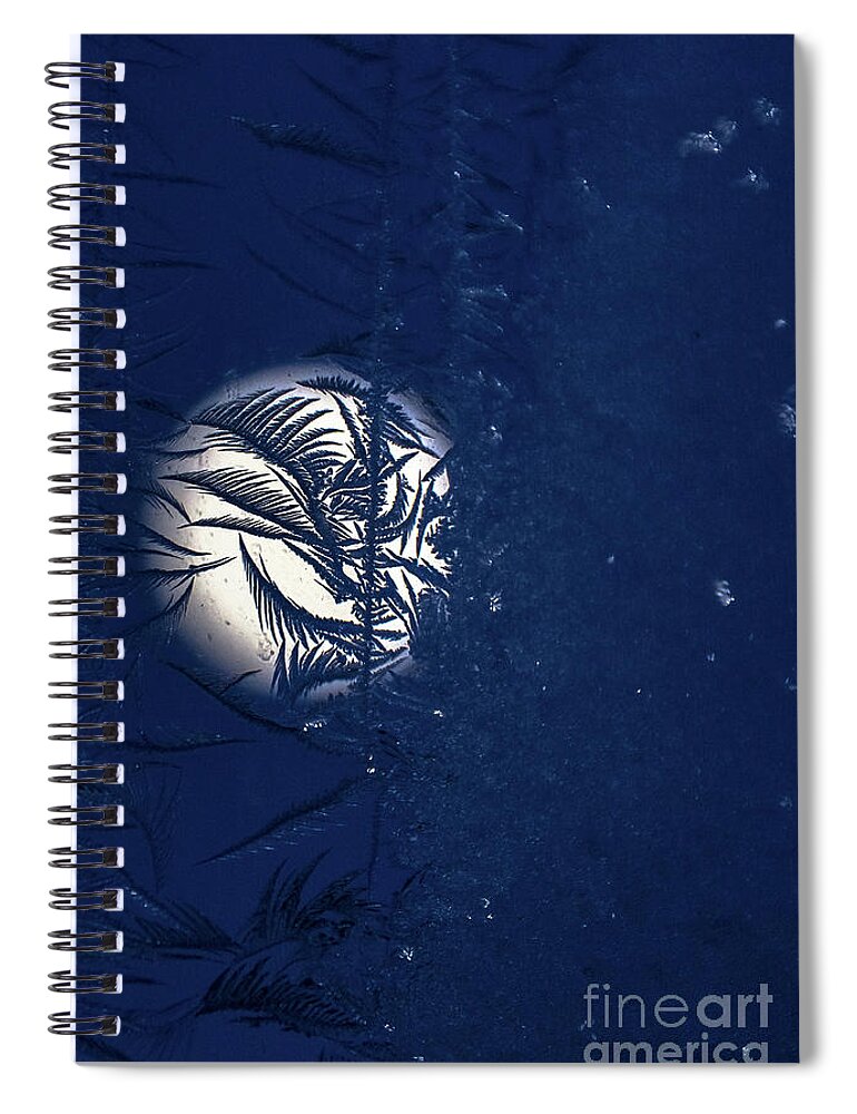 Window Frost Spiral Notebook featuring the photograph Blue Moon Frosty Trees by Cheryl Baxter