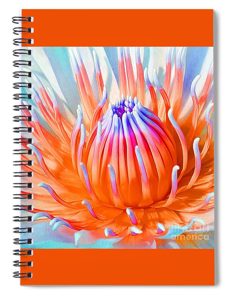 Blue Orange Lily Spiral Notebook featuring the photograph Blue Orange Lily by Jennifer Robin