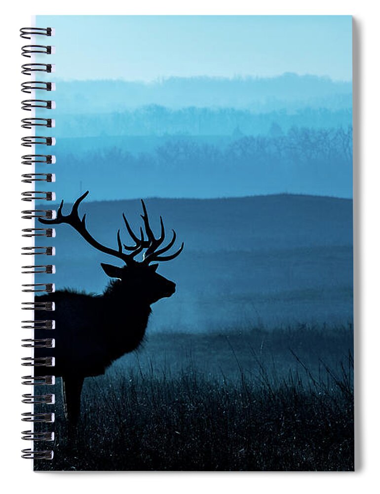 Jay Stockhaus Spiral Notebook featuring the photograph Blue Sunrise by Jay Stockhaus