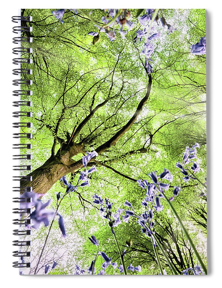 Flowers Spiral Notebook featuring the photograph Bluebells from worms eye view by Simon Bratt