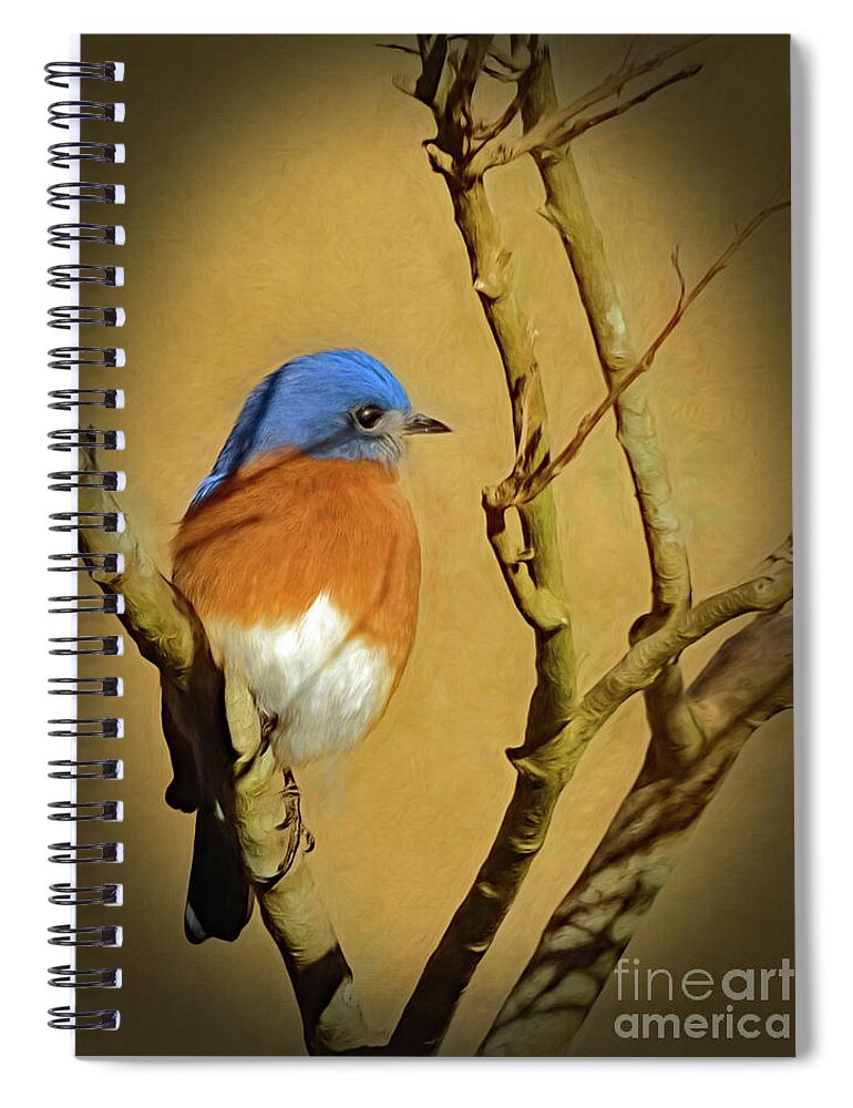 Bluebird Spiral Notebook featuring the photograph Bluebird Waiting For Spring by Sue Melvin
