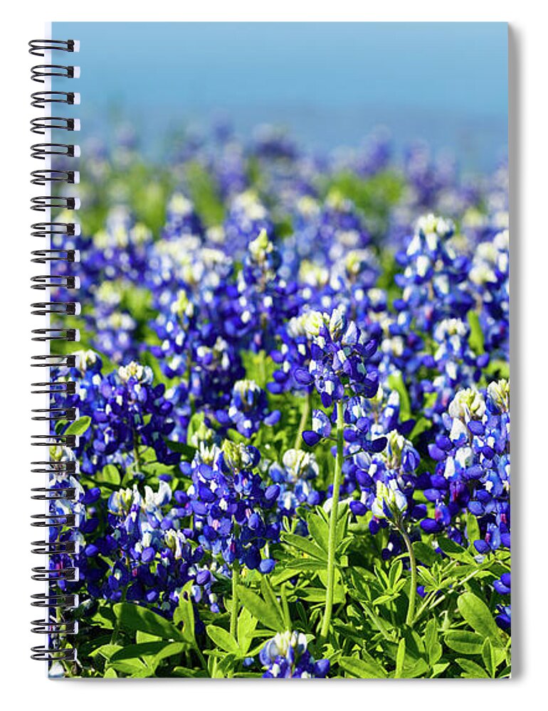 Austin Spiral Notebook featuring the photograph Bluebonnets by Raul Rodriguez