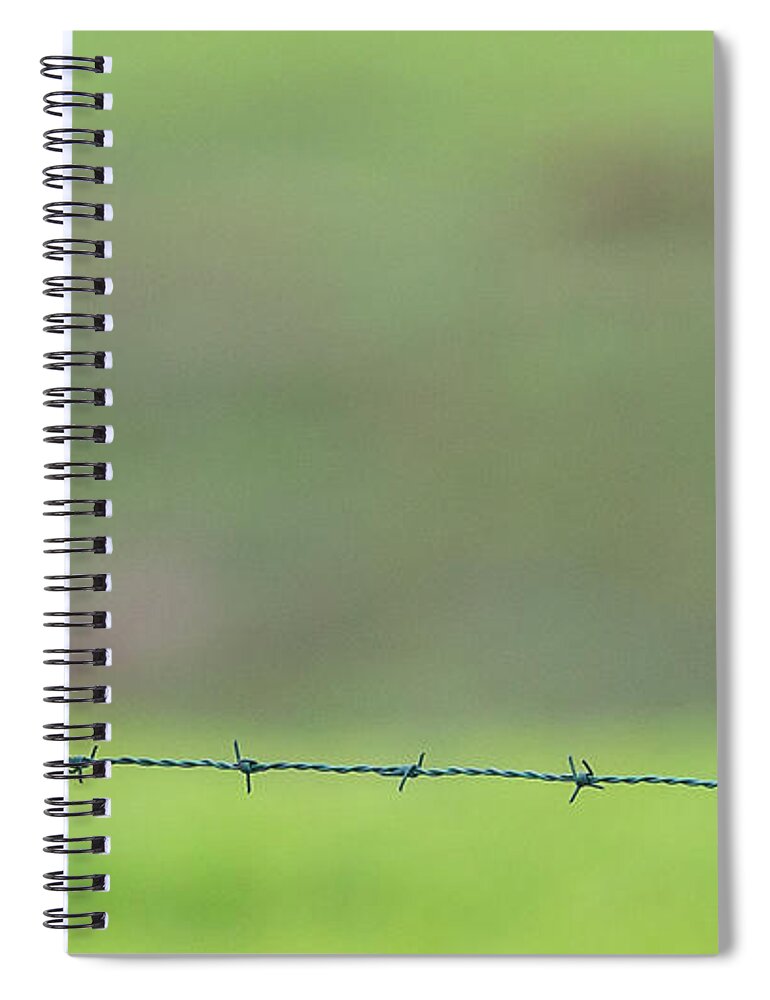 Pt Reyes 2015 3 Spiral Notebook featuring the photograph Blues by Kevin Dietrich