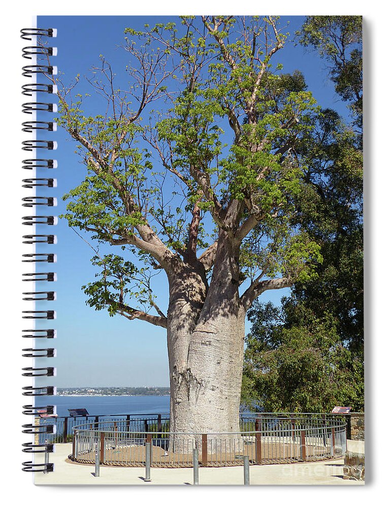 Boab Tree Spiral Notebook featuring the photograph Boab Tree - Kings Park by Phil Banks