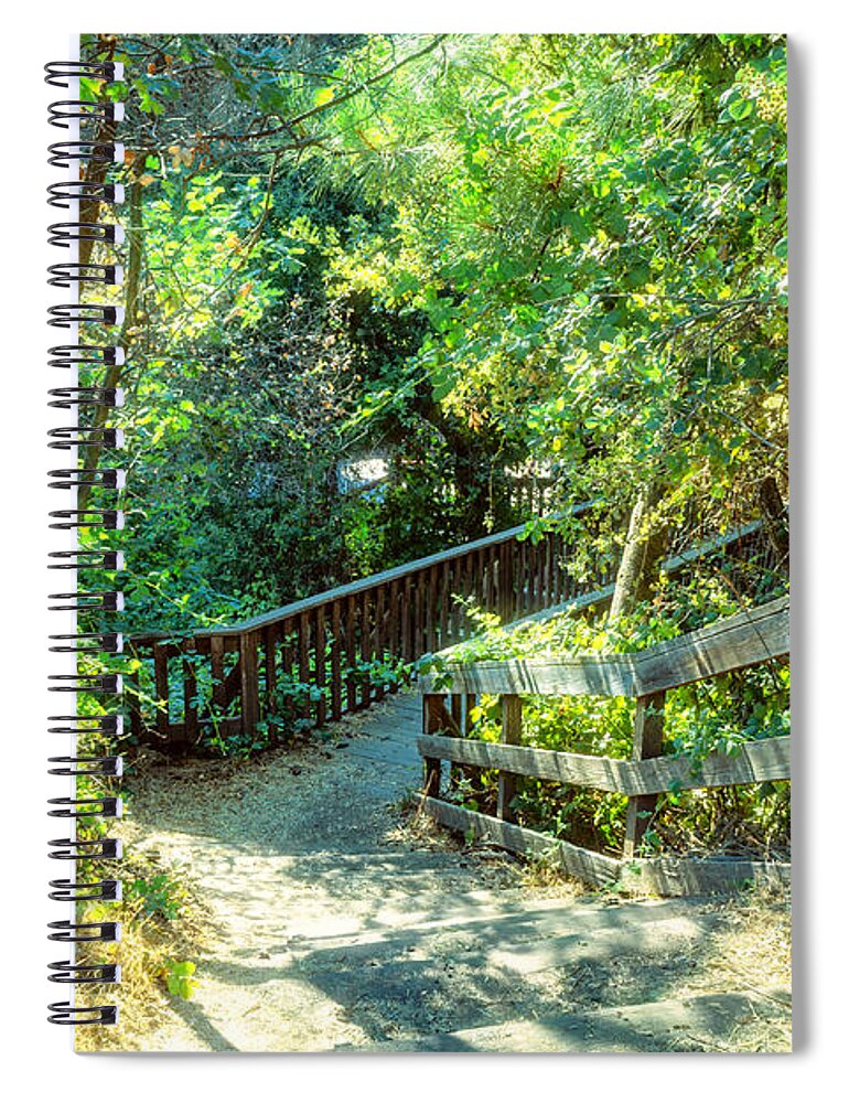 Trail Spiral Notebook featuring the photograph Boardwalk in the Woods by Alison Frank