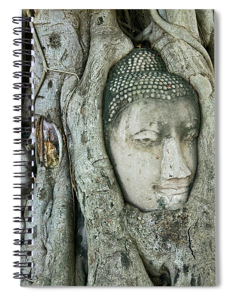 Buddha Spiral Notebook featuring the photograph Bodhi tree Buddha head by David Freuthal