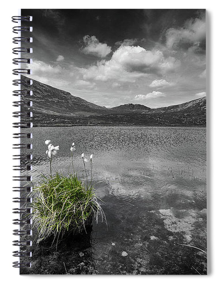 Bog Spiral Notebook featuring the photograph Bog Cotton on Blue Lough by Nigel R Bell