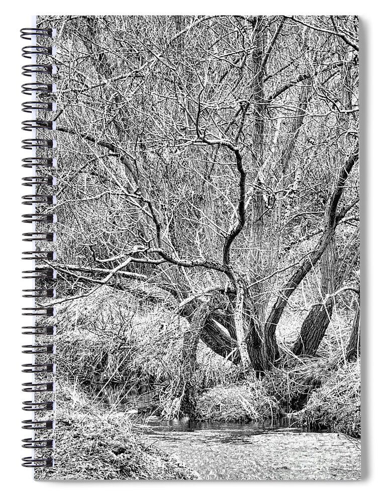Black Spiral Notebook featuring the photograph Boggy Creek by Stephen Melia