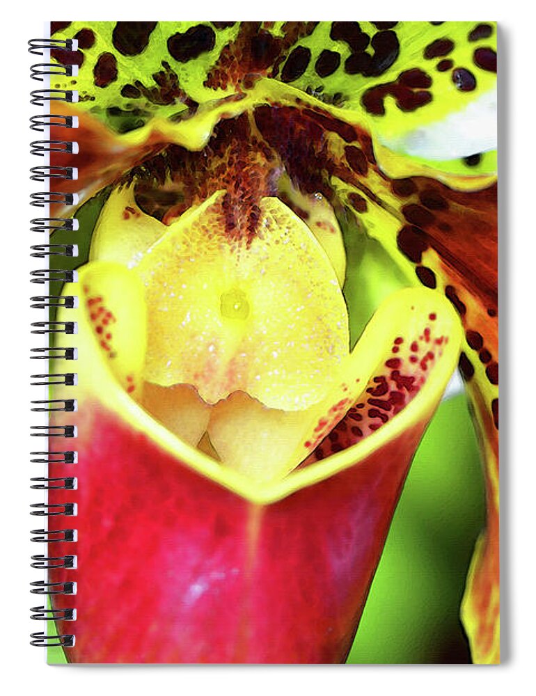 Orchid Spiral Notebook featuring the painting Bold Flower Art - Intimate Orchid 6 - Sharon Cummings by Sharon Cummings