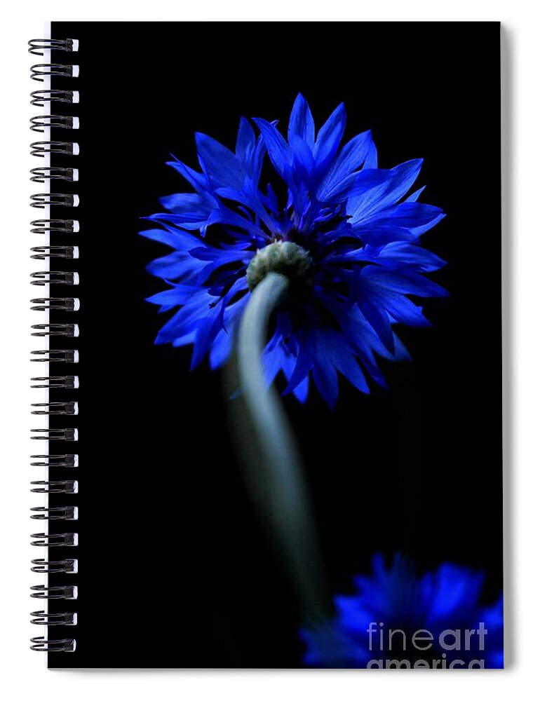 Flower Spiral Notebook featuring the photograph Boldly Moving Forward by Dani McEvoy