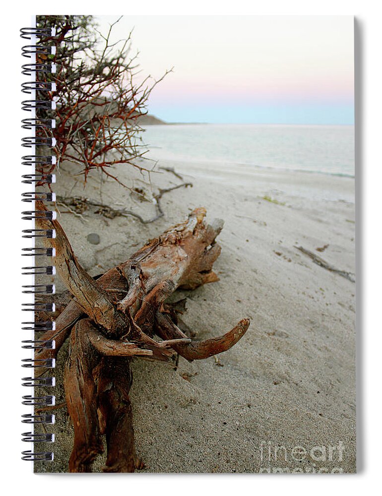 Driftwood Spiral Notebook featuring the photograph Bonanza Beach Driftwood by Becqi Sherman