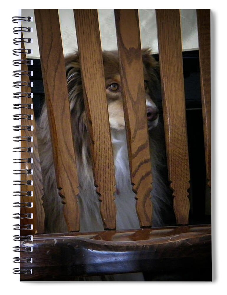Abstract Spiral Notebook featuring the photograph Bootsie by Lenore Senior