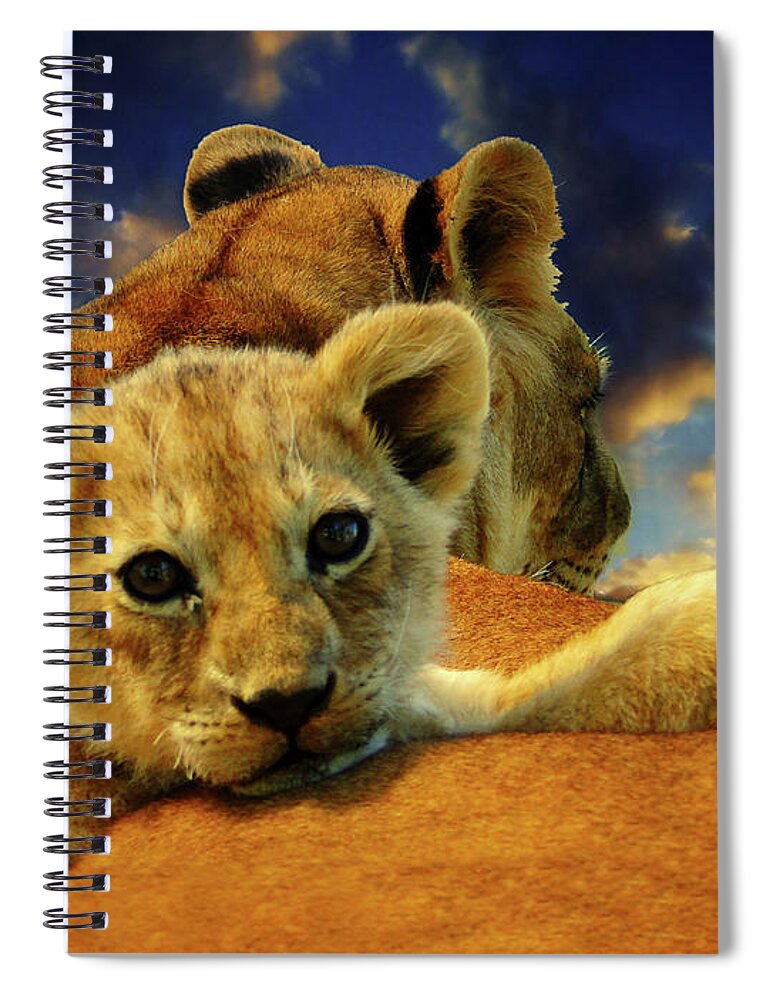 Park Spiral Notebook featuring the photograph Born Free III by Al Bourassa