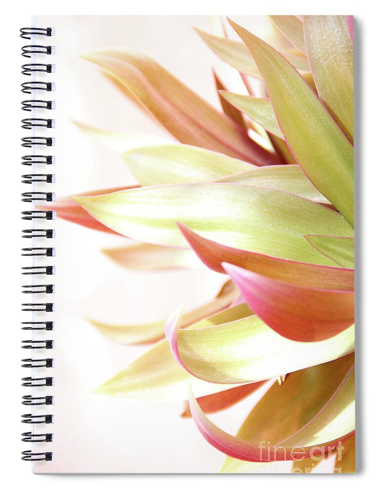 Plant Spiral Notebook featuring the photograph Botanical Dance by Becqi Sherman