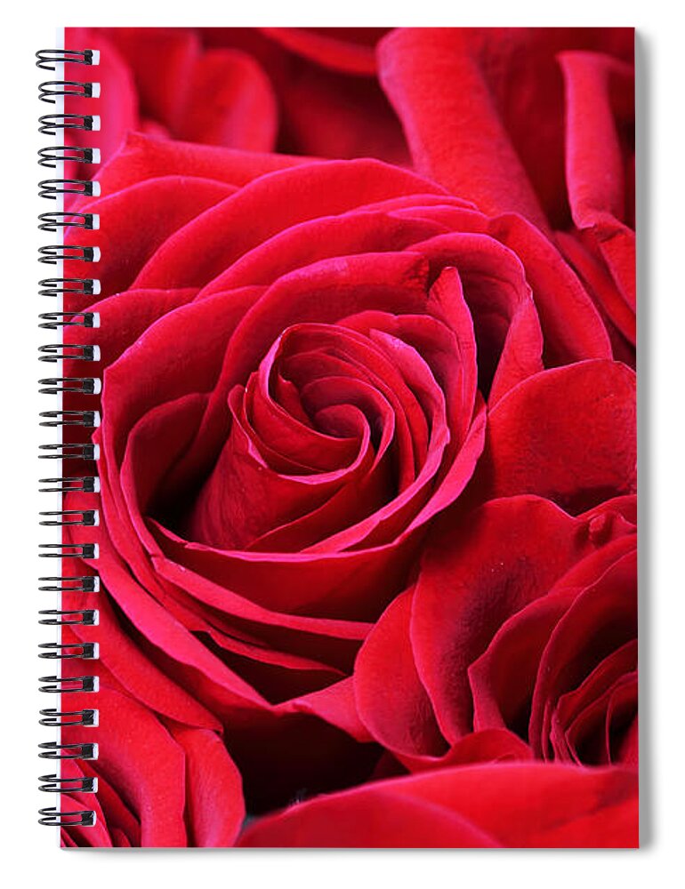 Roses Spiral Notebook featuring the photograph Bouquet of Red Roses by Peggy Collins