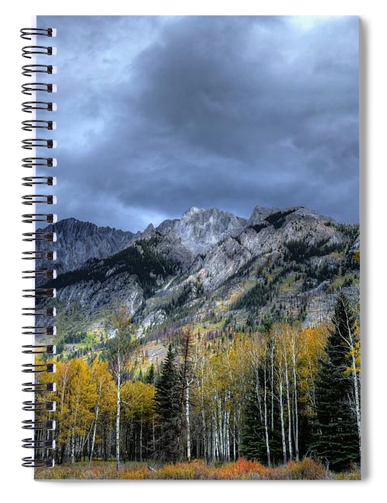 Animals Spiral Notebook featuring the photograph Bow Valley Parkway Banff National Park Alberta Canada IV by Wayne Moran