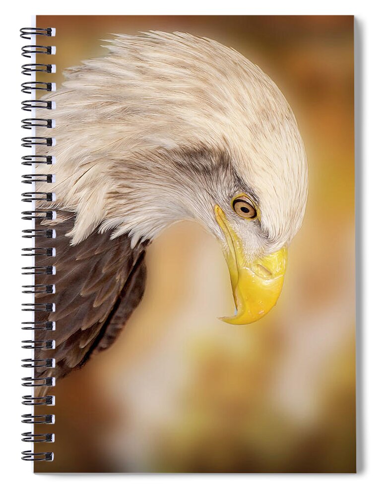 Bald Eagle Spiral Notebook featuring the photograph Bow Your Head and Prey by Bill and Linda Tiepelman