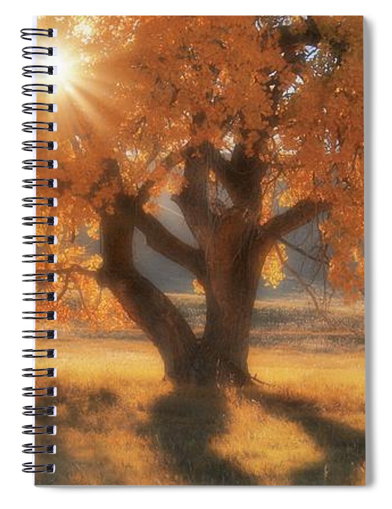 Western Spiral Notebook featuring the photograph Boxelder's Autumn Tree by Amanda Smith