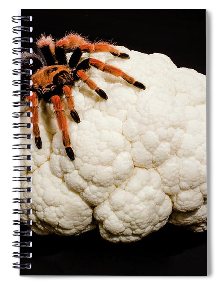 Black Spiral Notebook featuring the photograph Brain cancer by Benny Marty