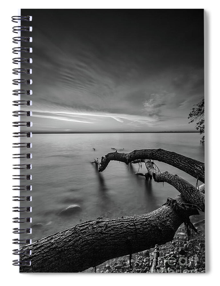 Andrew Slater Photography Spiral Notebook featuring the photograph Branching Out - BW by Andrew Slater