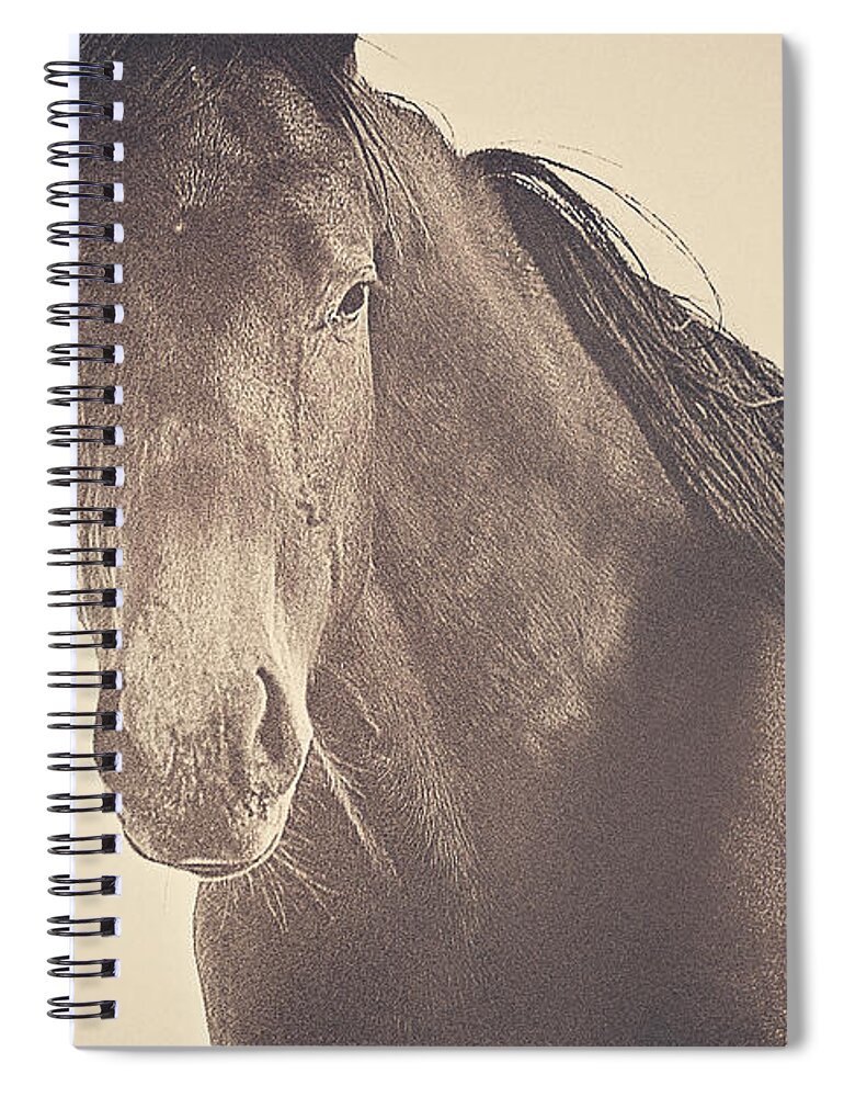 Horse Spiral Notebook featuring the photograph Brazen and Bold by Amanda Smith