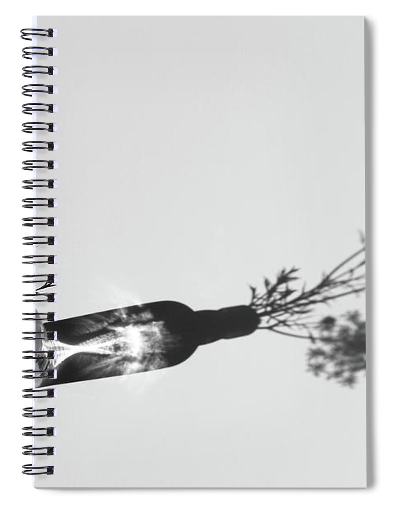 Queen Annes Lace Spiral Notebook featuring the photograph Breaking the Rules by Holly Ross