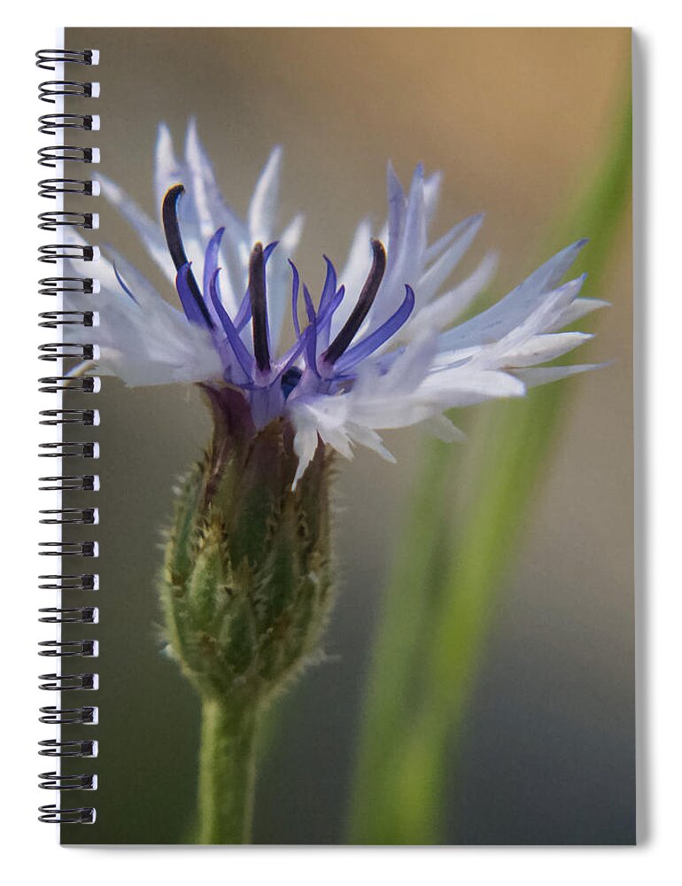 Nature Spiral Notebook featuring the photograph Breathing by Susan Eileen Evans