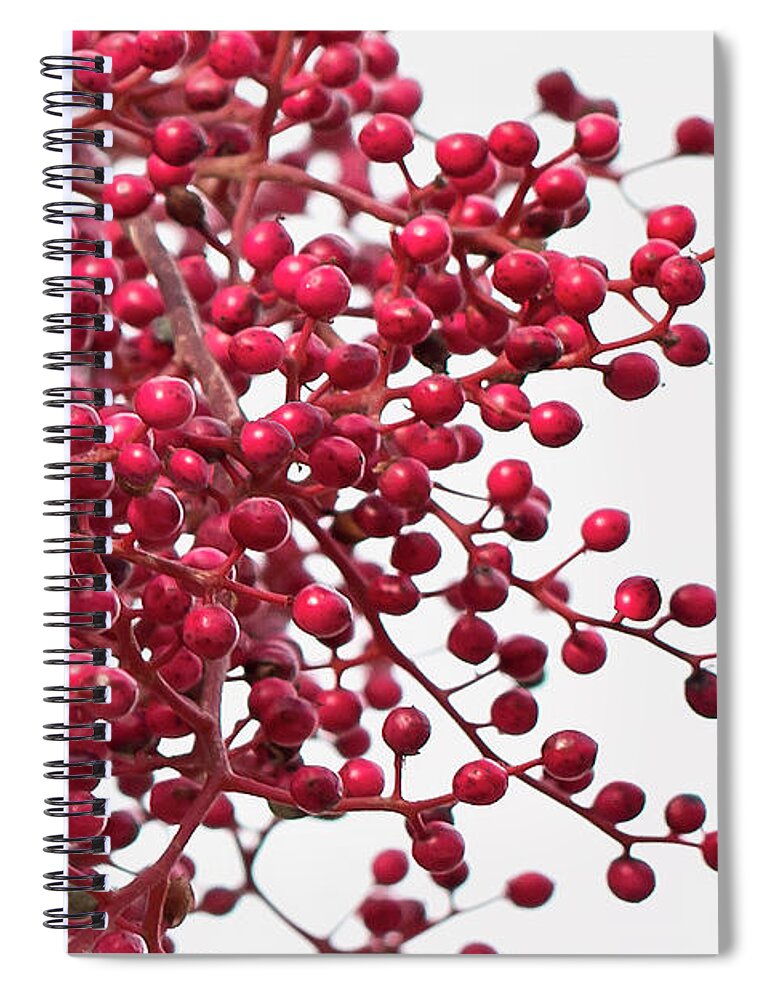 Berries Spiral Notebook featuring the photograph Bright Berries by Vanessa Thomas
