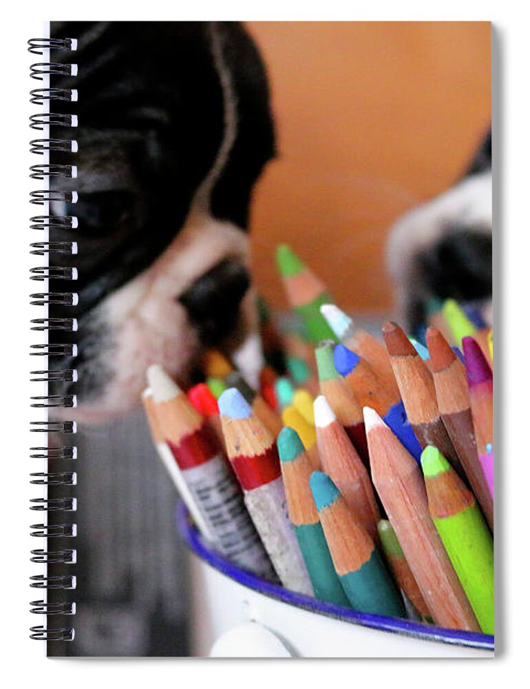 Animals Spiral Notebook featuring the photograph Bright Points by Susan Herber