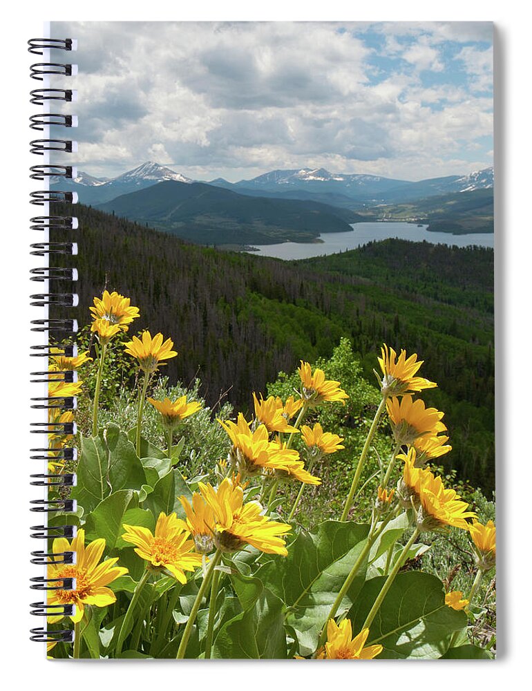 Silverthorne Spiral Notebook featuring the photograph Brilliant Balsamroot and Silverthorne by Cascade Colors