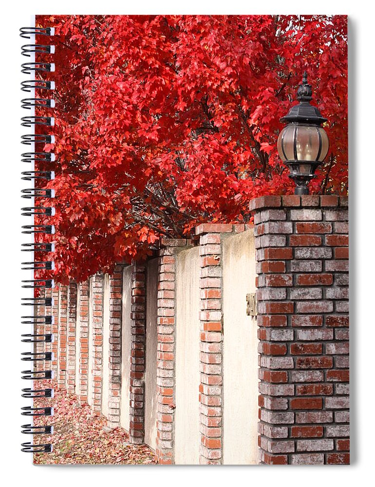 Fall Spiral Notebook featuring the photograph Brilliant Fall by Jeff Floyd CA
