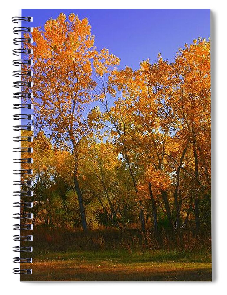 Landscape Spiral Notebook featuring the photograph Brilliant Autumn Day in Oklahoma by Toni Hopper