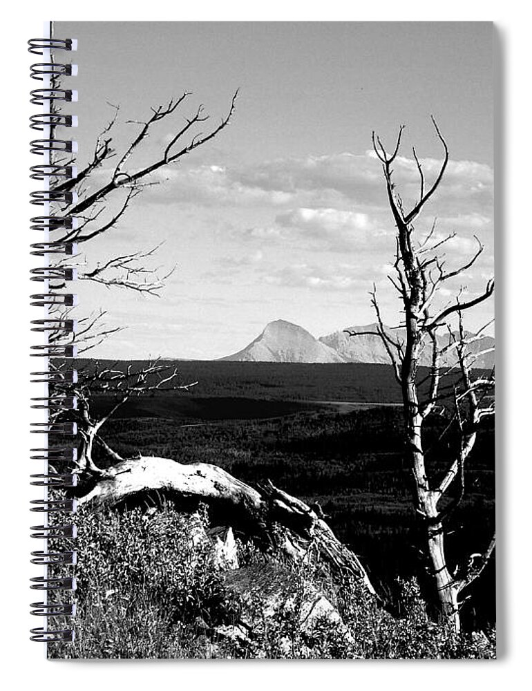 Bristle Cone Pines Spiral Notebook featuring the photograph Bristle Cone Pines with Divide Mountain in Black and White by Tracey Vivar