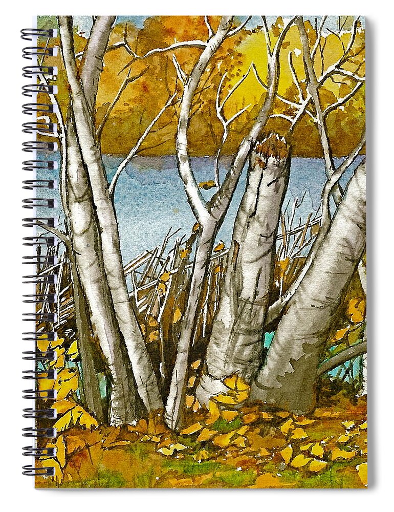 Landscape Spiral Notebook featuring the painting Broken Birch by Lynn Babineau