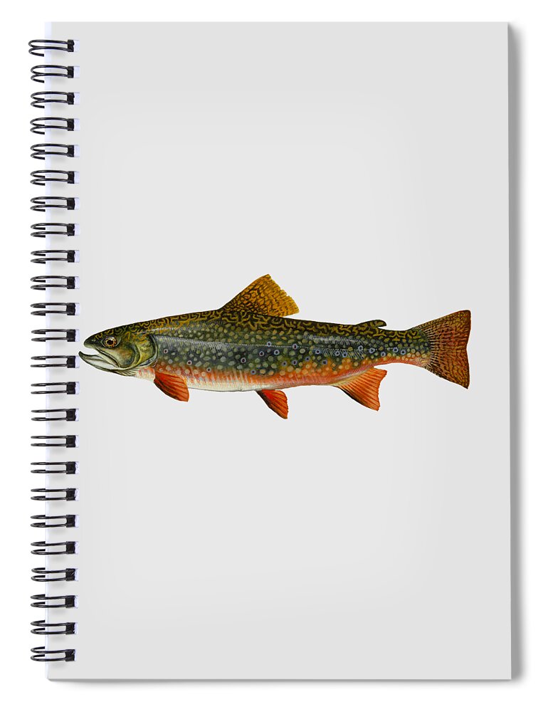 Brook Trout Spiral Notebook featuring the mixed media Brook Trout by Movie Poster Prints