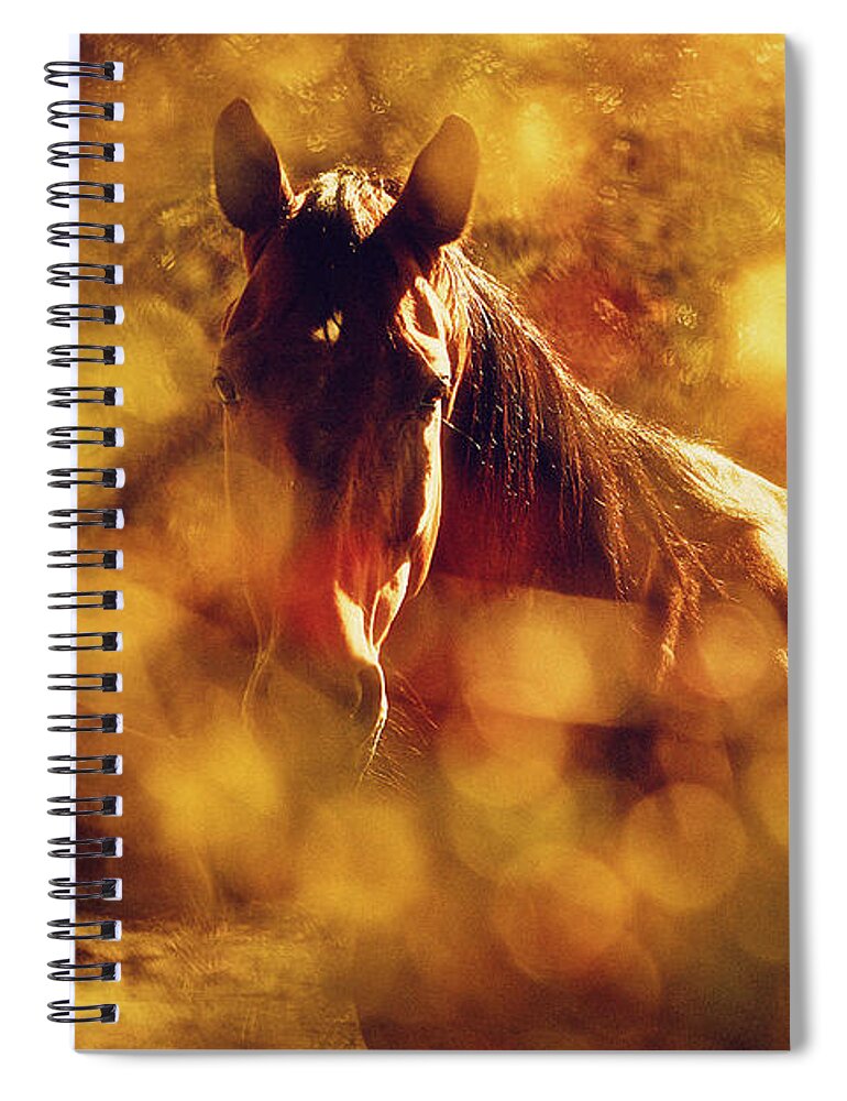 Horse Spiral Notebook featuring the photograph Brown Horse Portrait In Summer Day by Dimitar Hristov