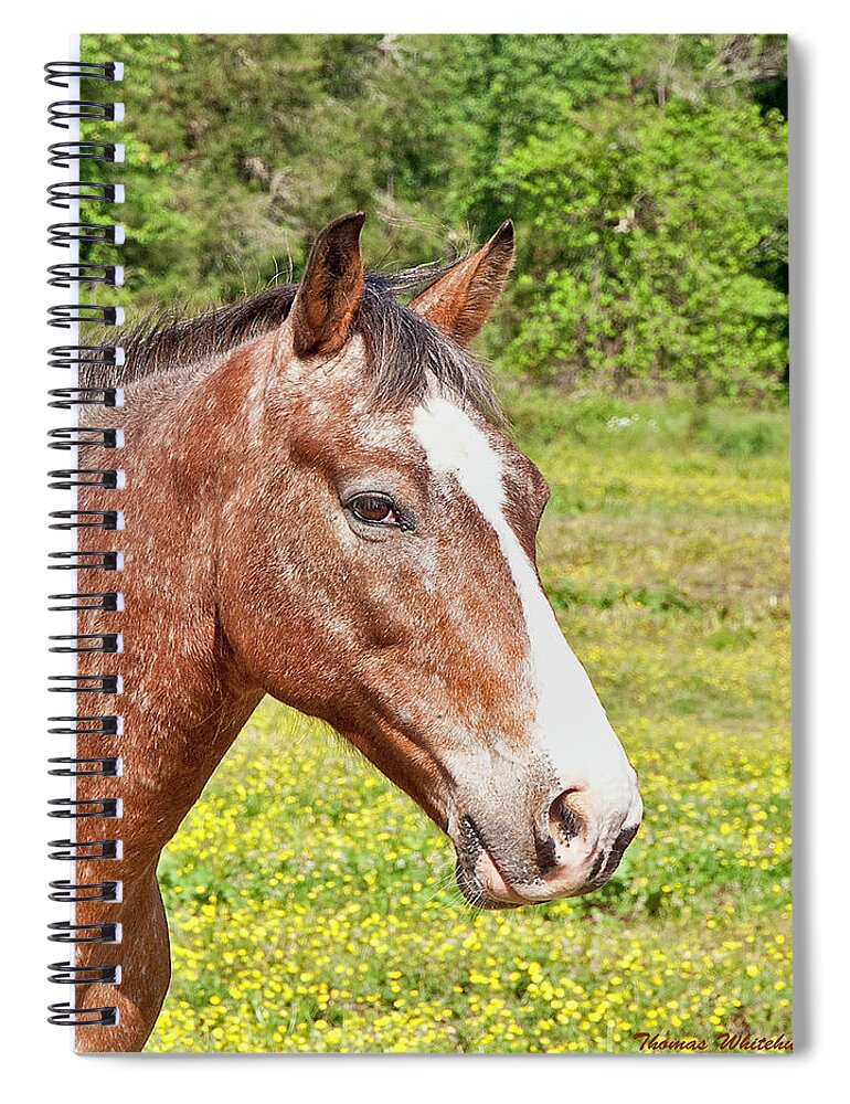 Wildlife Spiral Notebook featuring the photograph Brownie by Thomas Whitehurst